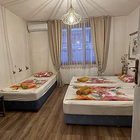 招待所 Hei Taka 索佐波尔