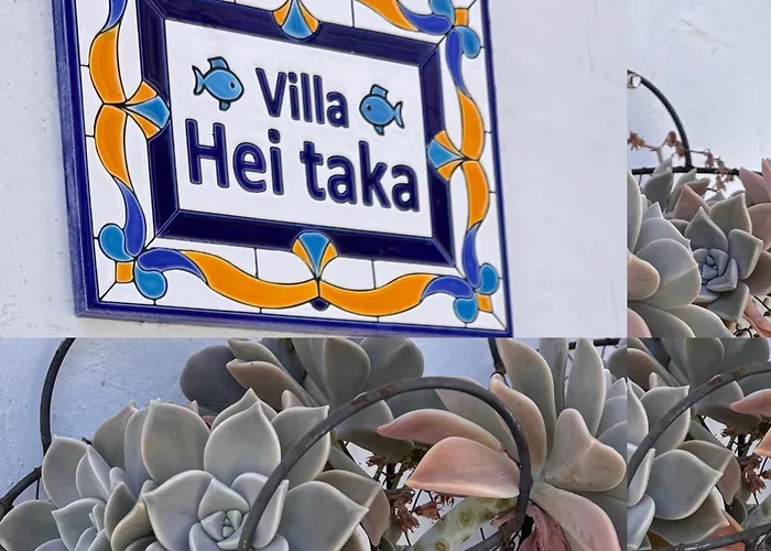 Hei Taka