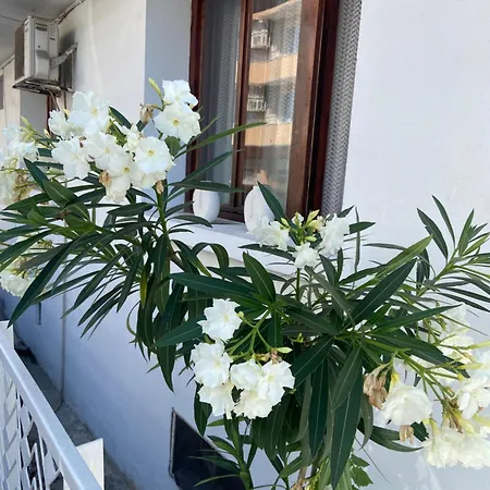 Guest house Hei Taka