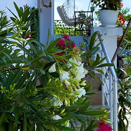 Guest house Hei Taka *
