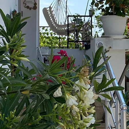 Hei Taka Sozopol